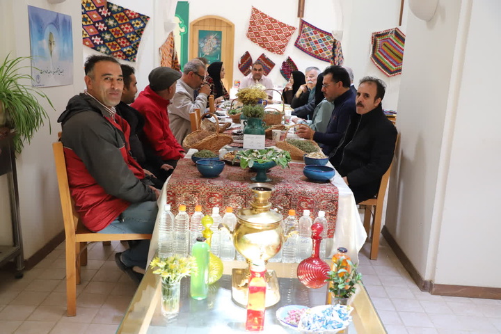 دمنوش و گیاهان دارویی سلطانیه
