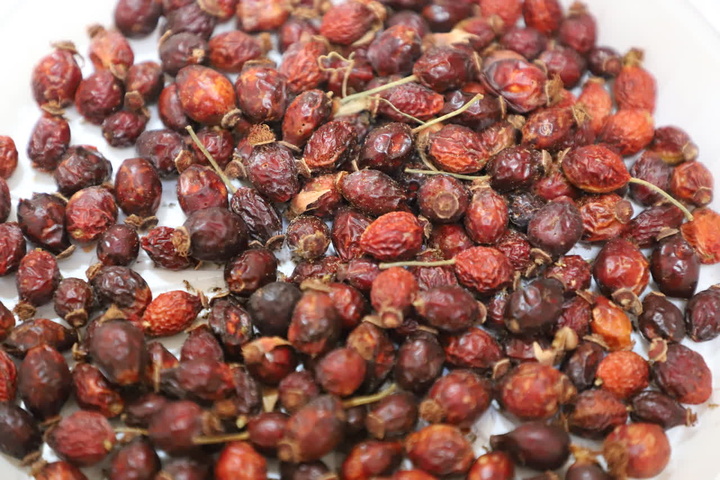 دمنوش و گیاهان دارویی سلطانیه