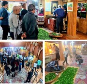 طلوع دوباره میراث سبز کاشف / باززنده سازی‌ آیین کهن مهارت سنتی فرآوری چای دستی