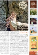 انتشار «زمینی‌ها» با رویکرد روستای گردشگری پامنار و جغد ماهی‌خوار