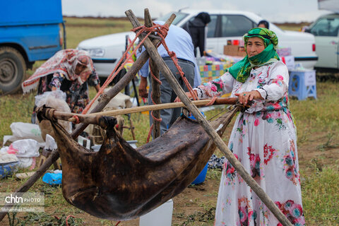 جشنواره کوچ عشایر شاهسون مغان
