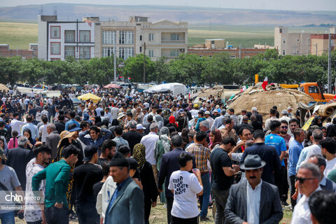 جشنواره کوچ عشایر شاهسون مغان