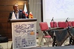 بوم شاه