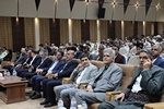 بوم شاه