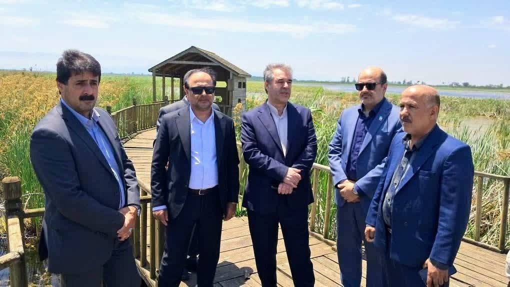 بازدید ندایی