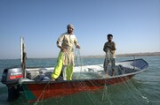 صید و صیادی حرفه‌ای ریشه‌دار در پایداری اقتصادی روستای گردشگری درک