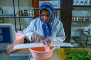 تولید ادویه در کارگاه خانگی اراک