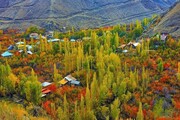 البرز با گردشگری پایدار می‌تواند به برند ملی تبدیل شود
