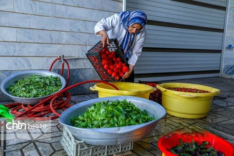 تولید ادویه در کارگاه خانگی اراک