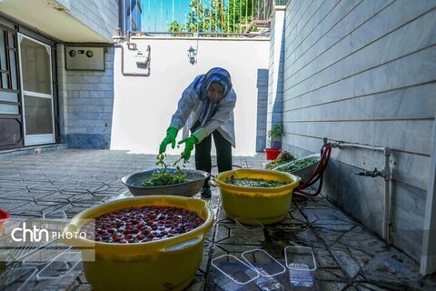تولید ادویه در کارگاه خانگی اراک