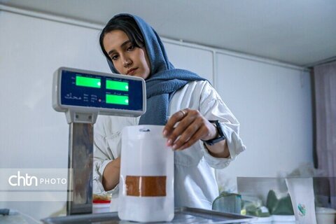 تولید ادویه در کارگاه خانگی اراک