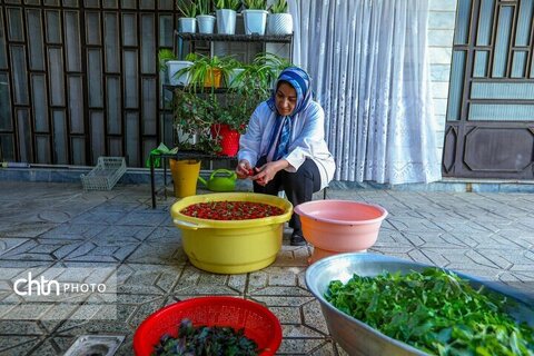 تولید ادویه در کارگاه خانگی اراک
