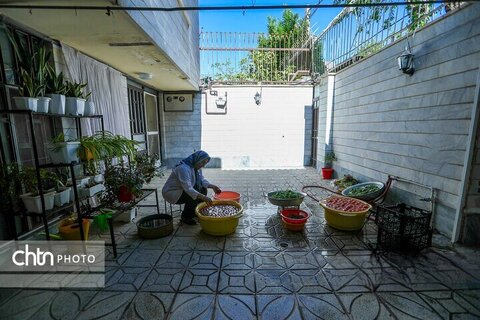 تولید ادویه در کارگاه خانگی اراک