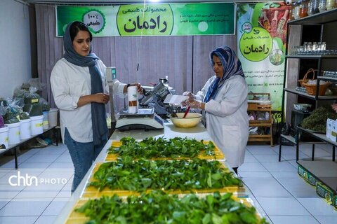 تولید ادویه در کارگاه خانگی اراک