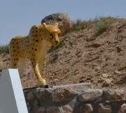 نصب مجسمه یوزپلنگ آسیایی در قلعه بالا