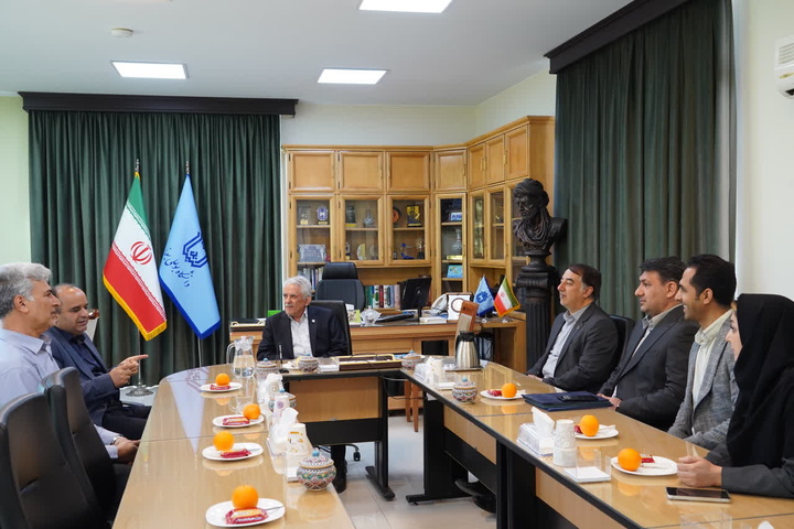 صنایع‌دستی همدان به پشتوانه علمی نیاز دارد/ لزوم گسترش ارتباط دانشگاه و صنعت