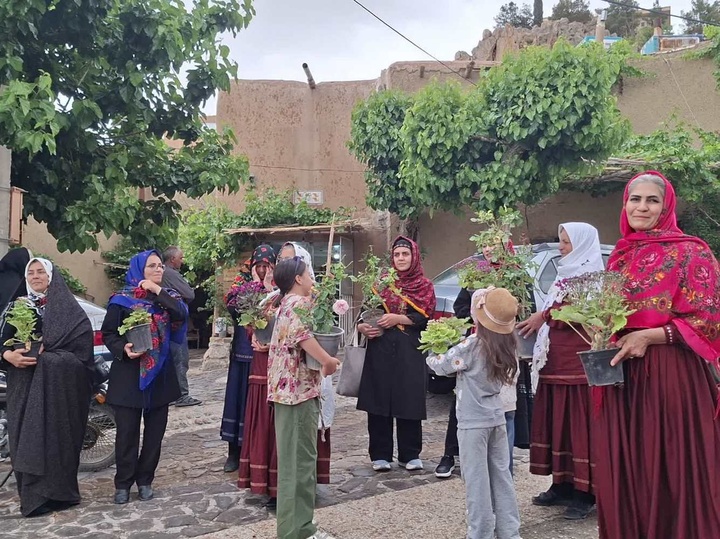 گل بالا