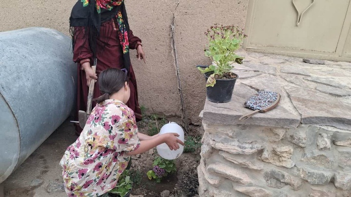 گل بالا