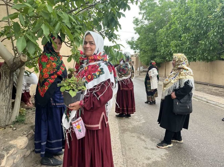 گل بالا