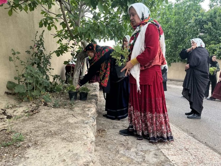 گل بالا