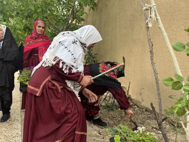 گل بالا
