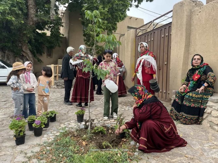 گل بالا