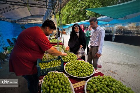 جشنواره ملی هلی سوری در بابلسر برگزار شد