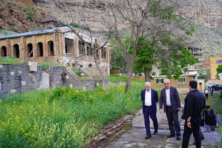 برزین