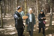 بازدید معاون گردشگری از روستای شانه‌تراش؛ از دریای ابر تا هنر شانه چوبی