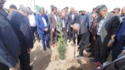 توسعه فضای سبز؛ موتور پنهان جذب سرمایه و رونق گردشگری در زاهدان