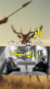 مجموعه از دل خاک | قسمت سوم