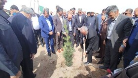 توسعه فضای سبز؛ موتور پنهان جذب سرمایه و رونق گردشگری در زاهدان
