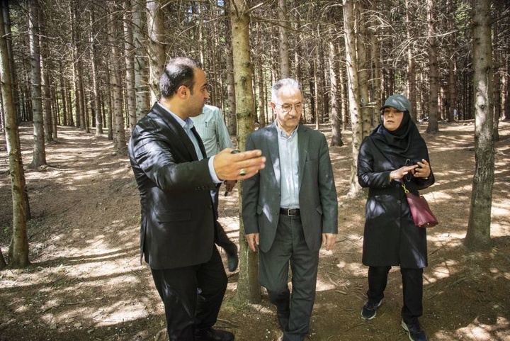 بازدید معاون گردشگری از روستای شانه‌تراش؛ از دریای ابر تا هنر شانه چوبی