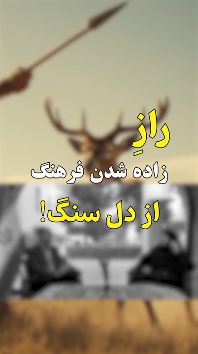 مجموعه از دل خاک | قسمت سوم