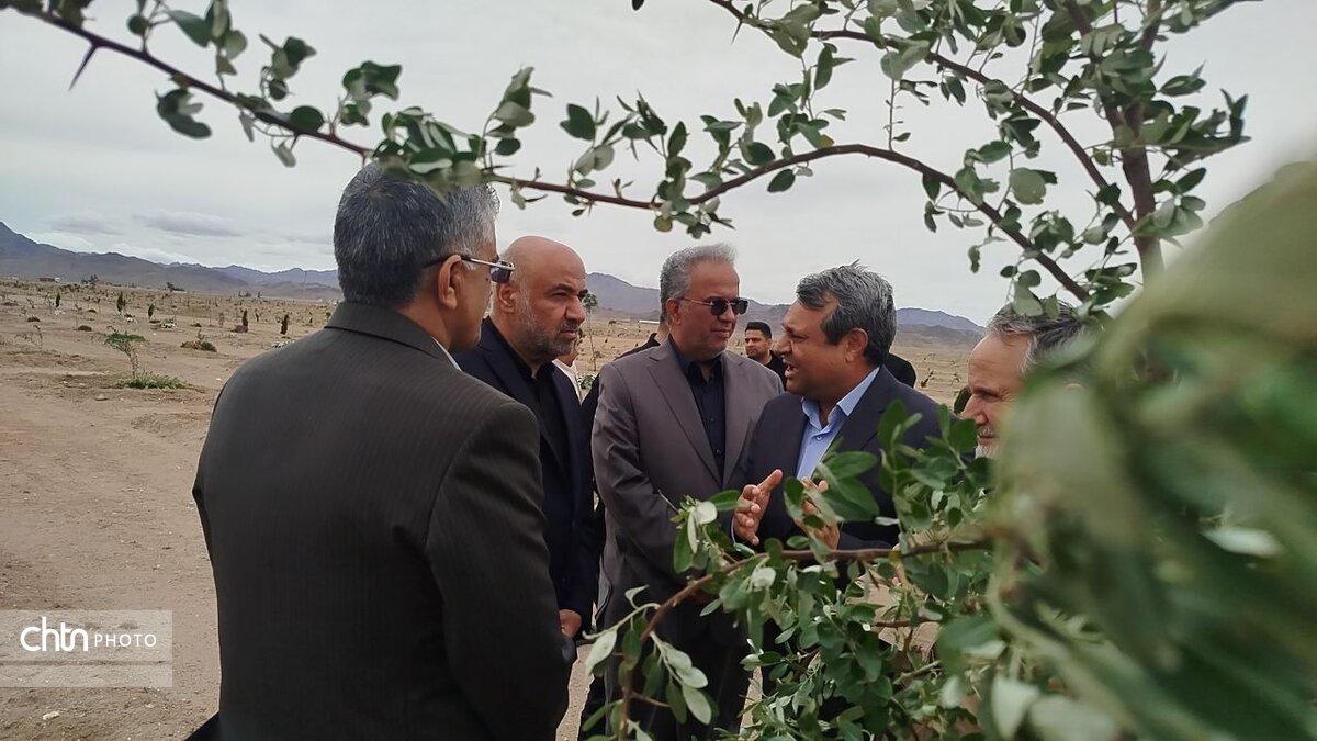 توسعه فضای سبز؛ موتور پنهان جذب سرمایه و رونق گردشگری در زاهدان