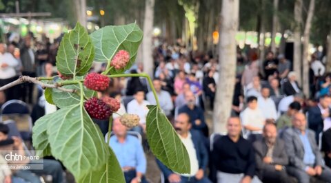 سومین جشنواره شاتوت هزاررود در شهرستان طارم