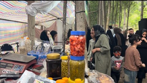 سومین جشنواره شاتوت هزاررود در شهرستان طارم