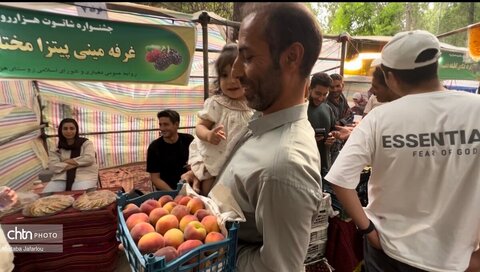 سومین جشنواره شاتوت هزاررود در شهرستان طارم