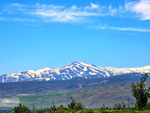 تصاویر بهاری برکه قورباغه‌ها اشنویه