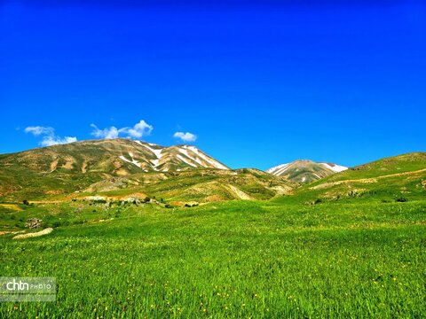 تصاویر بهاری برکه قورباغه‌ها اشنویه