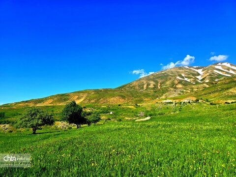 تصاویر بهاری برکه قورباغه‌ها اشنویه