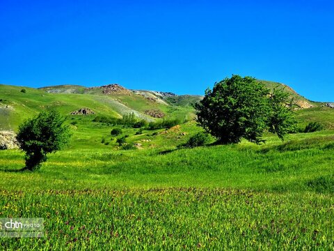 تصاویر بهاری برکه قورباغه‌ها اشنویه