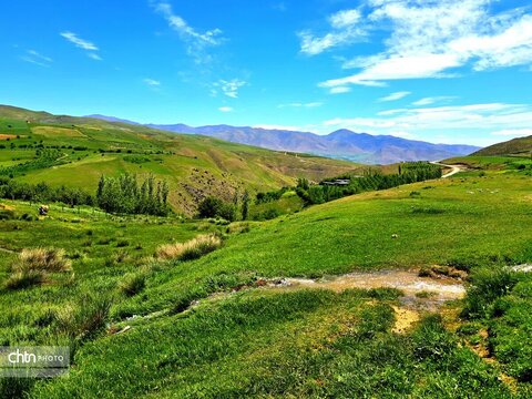 تصاویر بهاری برکه قورباغه‌ها اشنویه