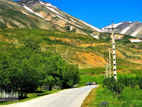 تصاویر بهاری برکه قورباغه‌ها اشنویه