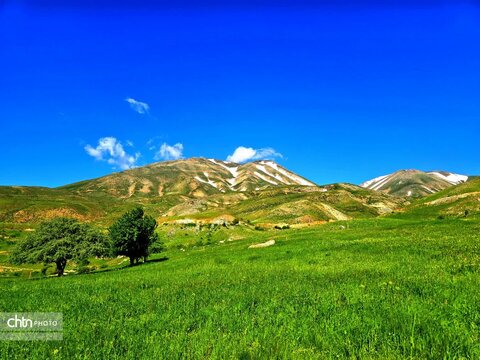 تصاویر بهاری برکه قورباغه‌ها اشنویه