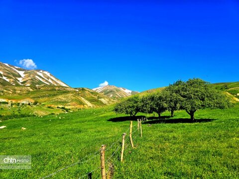 تصاویر بهاری برکه قورباغه‌ها اشنویه