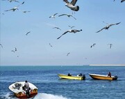 بوشهر سرزمین نور و رنگ و زیبایی