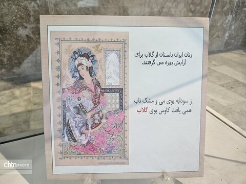 از گل تا گلاب؛ روایت یک موزه