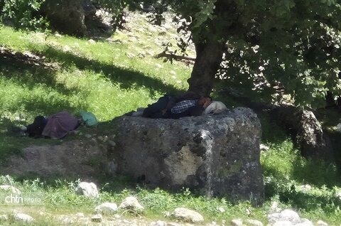 گوزلک روستای طبیعت گردی