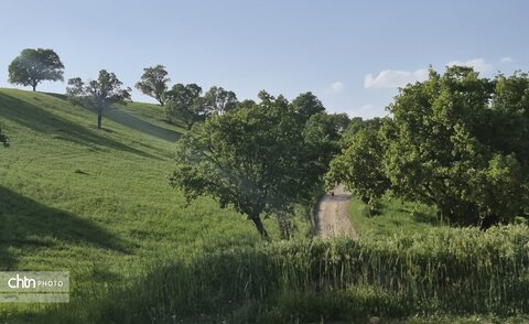 گوزلک روستای طبیعت گردی